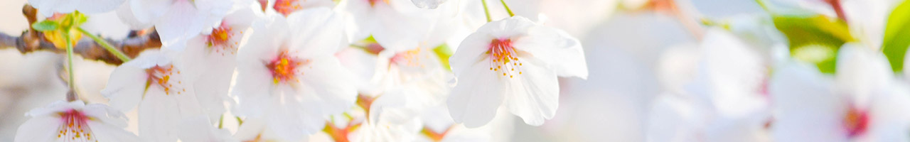 Sakura Center for Psychological Assessment and Therapy photo 1 in Kapolei